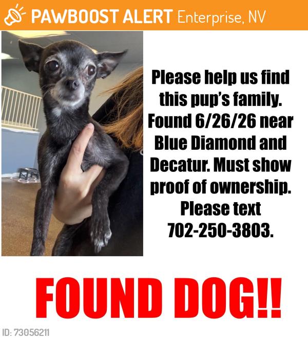 Found/Stray Female Dog last seen Blue Diamond & Decatur, Enterprise, NV 89139