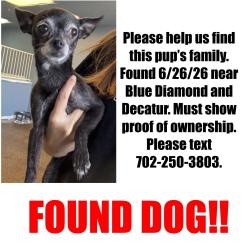 Found/Stray Female Dog last seen Blue Diamond & Decatur, Enterprise, NV 89139