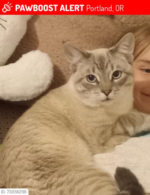 Lost Male Cat last seen Near ne halsey, Portland, OR 97220