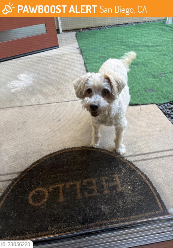 Found/Stray Male Dog last seen Epinette and Havasupai, San Diego, CA 92117