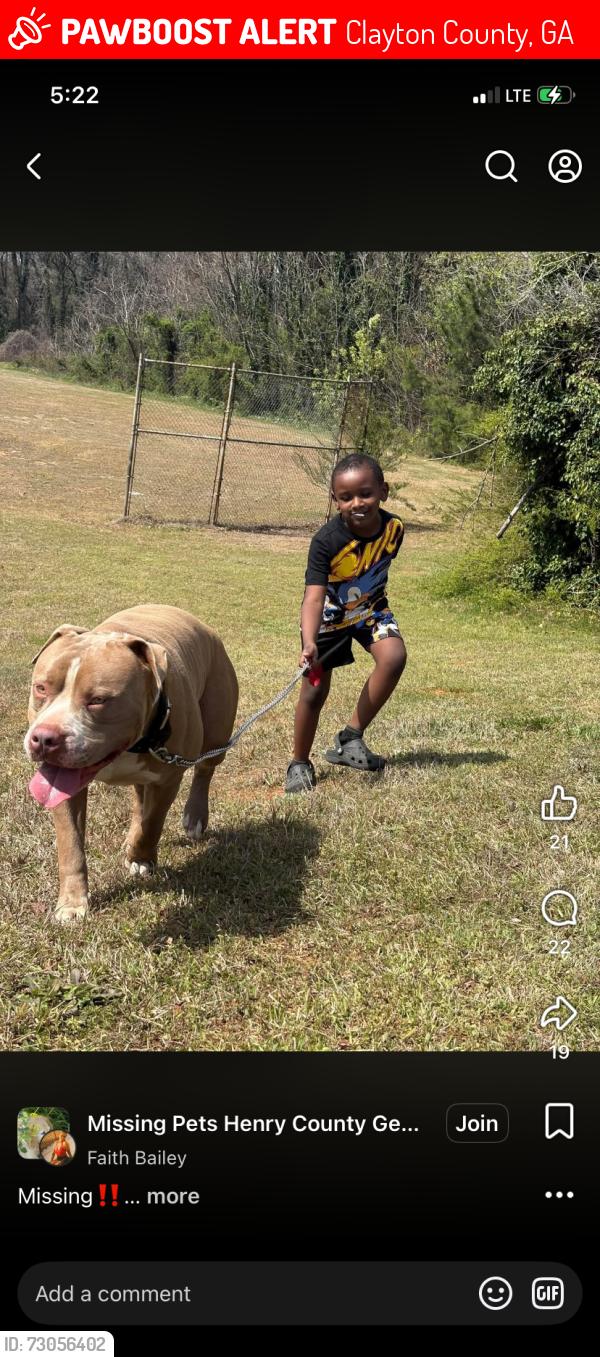 Lost Male Dog last seen Turner road Hampton ga , Clayton County, GA 30228