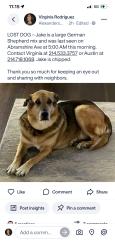 Lost Male Dog last seen Fair Oaks and Walnut hill, Dallas, TX 75231