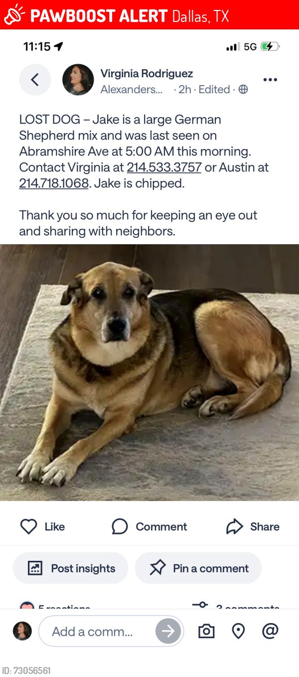 Lost Male Dog last seen Fair Oaks and Walnut hill, Dallas, TX 75231