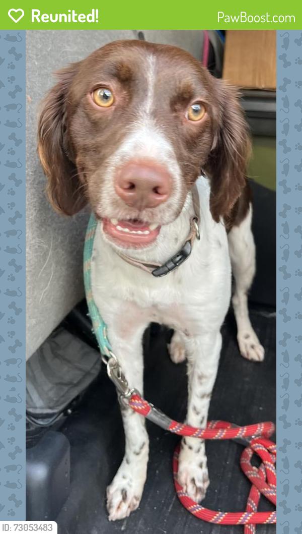 Reunited Female Dog last seen port st. lucie, Port St. Lucie, FL 34986