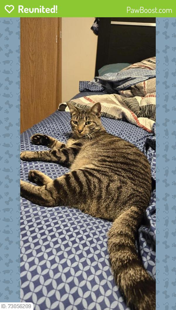 Reunited Male Cat last seen 26th & sycamore Hyvee , Sioux Falls, SD 57710