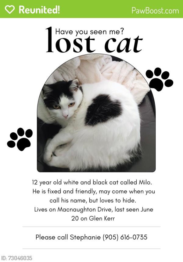 Reunited Male Cat last seen Marine dr and Glen Kerr, Innisfil, ON 