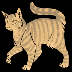 Found/Stray Female Cat last seen Near East Cadinal Drive, Sunnyvale, CA 94087