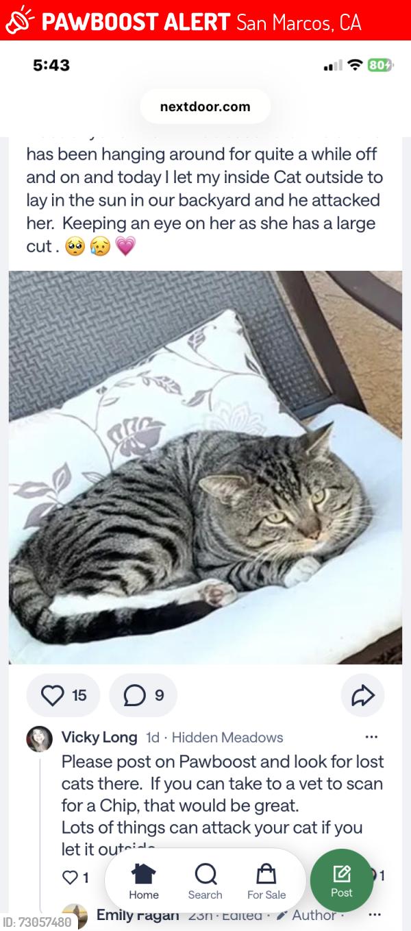 Lost Male Cat last seen Santa Fe hills , San Marcos, CA 92069