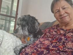 Lost Female Dog last seen Near Simpson Howell Road and Peirce Road, Elizabeth, PA 15037, Elizabeth, PA 15037