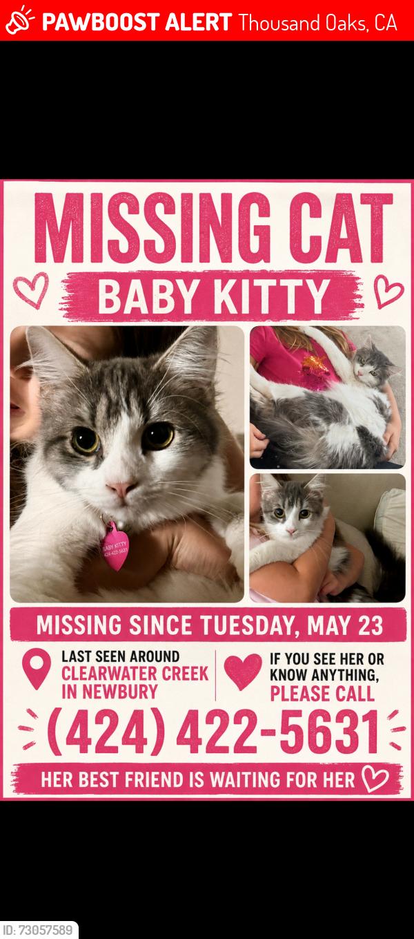 Lost Female Cat last seen Clearwater creek & bridgeview ln newbury park, Thousand Oaks, CA 91320