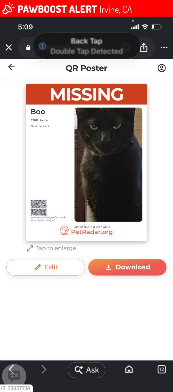 Lost Male Cat last seen Michelson , Irvine, CA 92614