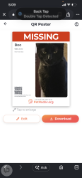 Lost Male Cat last seen Michelson , Irvine, CA 92614