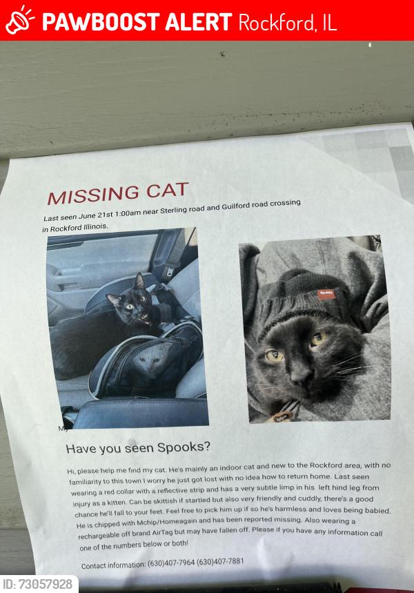 Lost Male Cat last seen guilford and sterling, Rockford, IL 61107