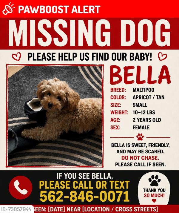 Lost Female Dog last seen Kinghorn st Santa Fe springs , Santa Fe Springs, CA 90670