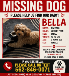 Lost Female Dog last seen Kinghorn st Santa Fe springs , Santa Fe Springs, CA 90670
