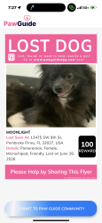 Lost Female Dog last seen Near sw 9th street, Pembroke Pines, FL 33027