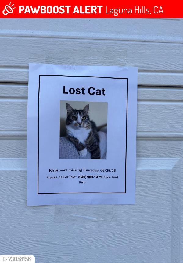 Lost Female Cat last seen Caminito Amor Laguna Village, Laguna Hills, CA 92653