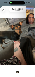 Lost Male Dog last seen Nw 63rd and MacArthur, Oklahoma City, OK 73132