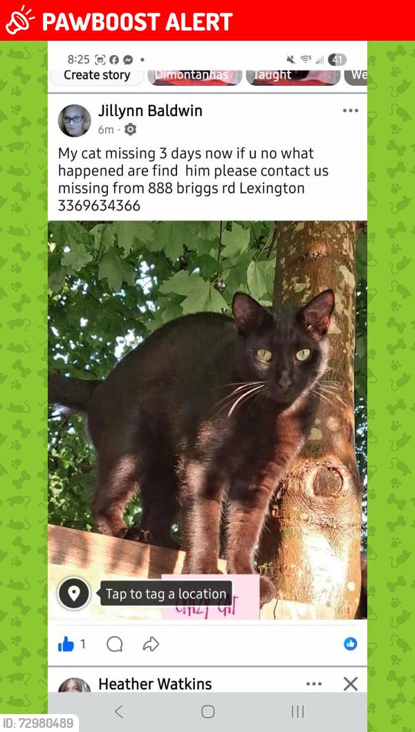 Lost Male  last seen South Main Street Extension & Jackson Hill Rd, North Carolina 27239, USA, Davidson County, NC 27239