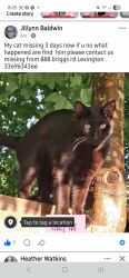 Lost Male  last seen South Main Street Extension & Jackson Hill Rd, North Carolina 27239, USA, Davidson County, NC 27239