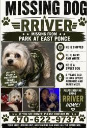 Reunited Male Dog last seen Tree mountain park way, Stone Mountain, GA 30083