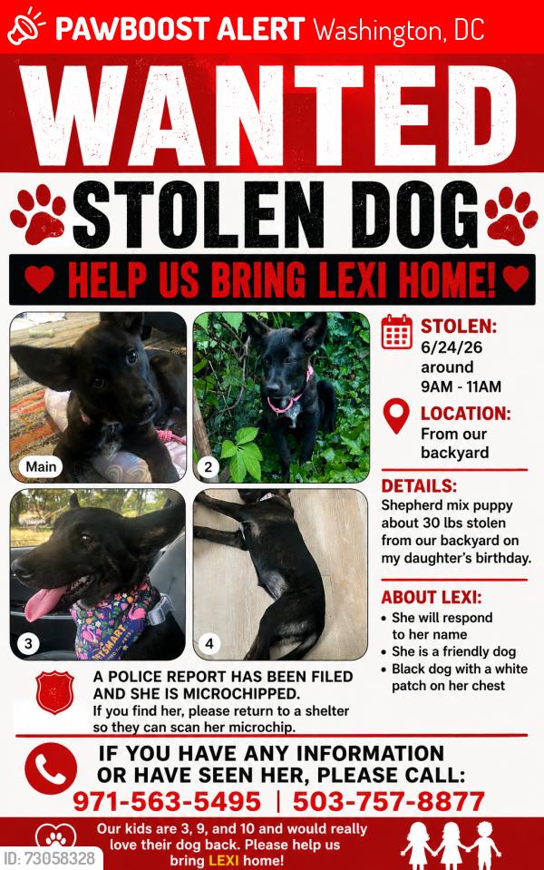 Lost Female Dog last seen Bladensburg, Washington, DC 20018