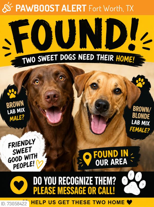Found/Stray Unknown Dog last seen Sandy Lane Park, Fort Worth, TX 76112