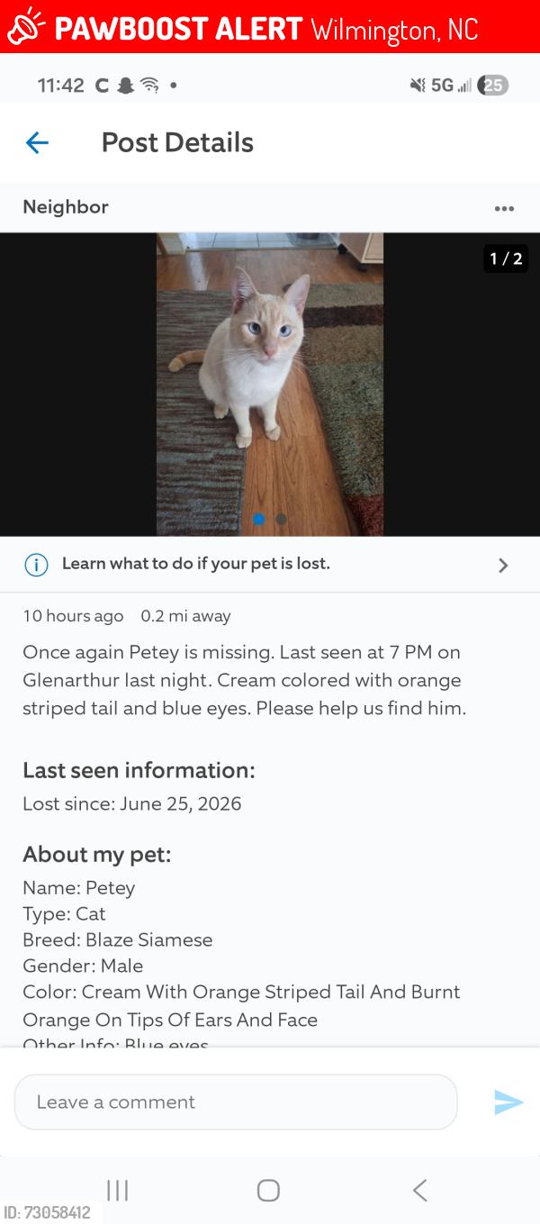Lost Male Cat last seen Lords creek, Wilmington, NC 28412