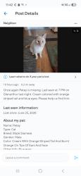 Lost Male Cat last seen Lords creek, Wilmington, NC 28412