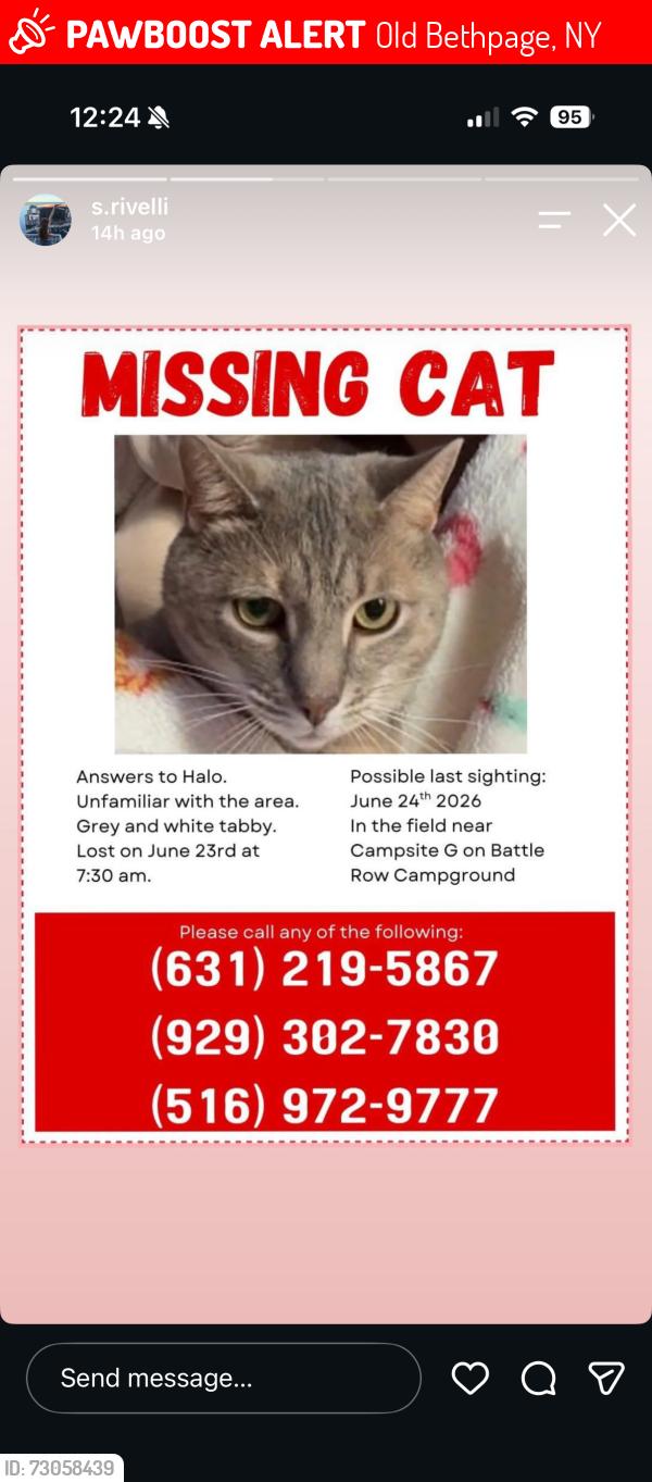 Lost Female Cat last seen Battle Row Campground, Old Bethpage, NY 11804