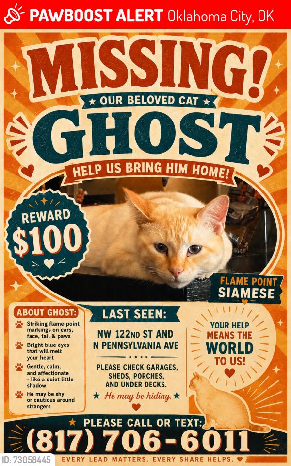 Lost Male Cat last seen Nw 122nd St and N Pennsylvania Ave, Oklahoma City, OK 73120