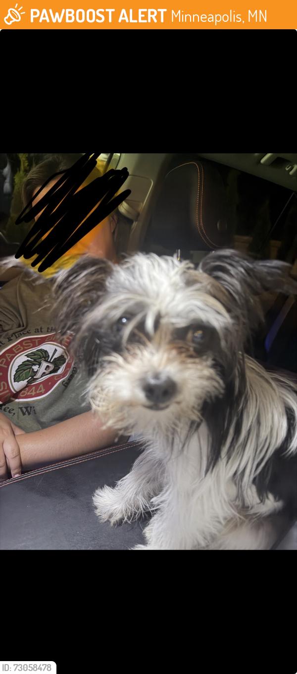 Found/Stray Male Dog last seen Dupont Ave N Minneapolis, Minneapolis, MN 55412