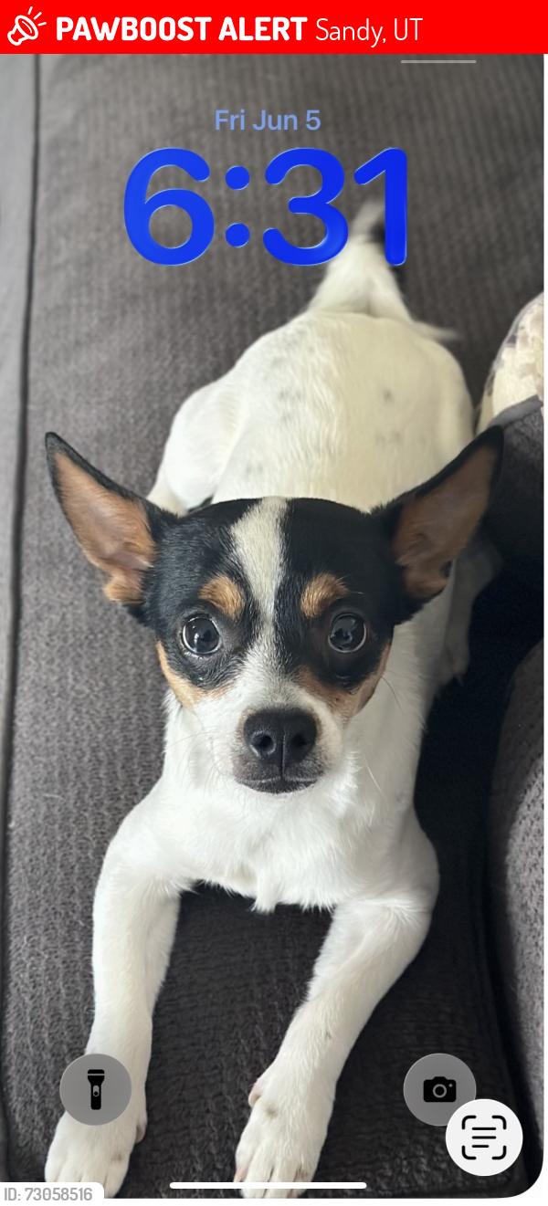 Lost Male Dog last seen Near s :350 e, Sandy, UT 84070
