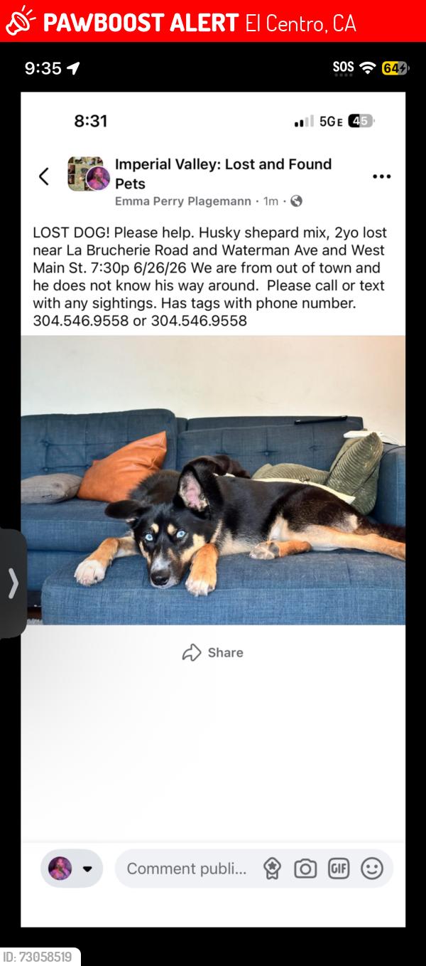 Lost Male Dog last seen Imperial ave, El Centro, CA 92243