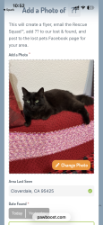Found/Stray Unknown Cat last seen Cloverdale rd and amity rd, Boise, ID 83709