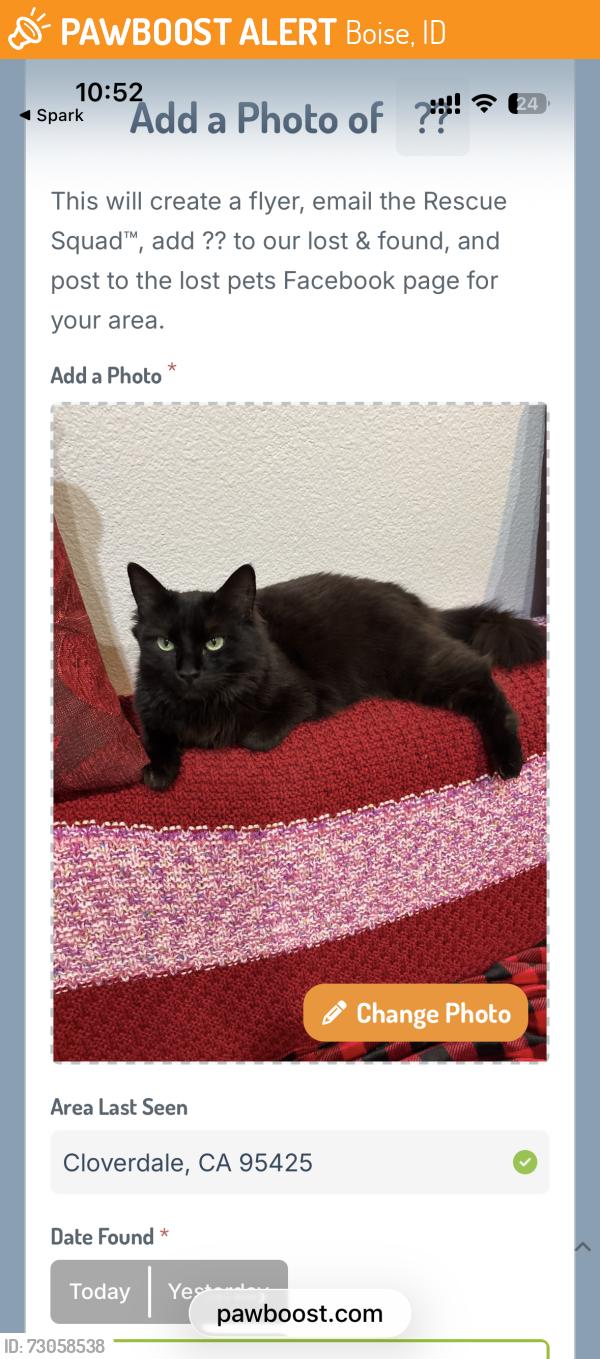 Found/Stray Unknown Cat last seen Cloverdale rd and amity rd, Boise, ID 83709