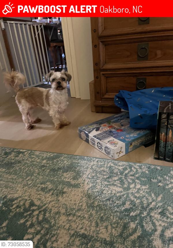 Lost Female Dog last seen Frog Pond Rd. —24/27, Oakboro, NC 28129