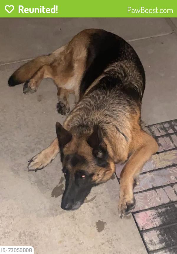 Reunited Unknown Dog last seen Joppatowne, Joppatowne, MD 21085