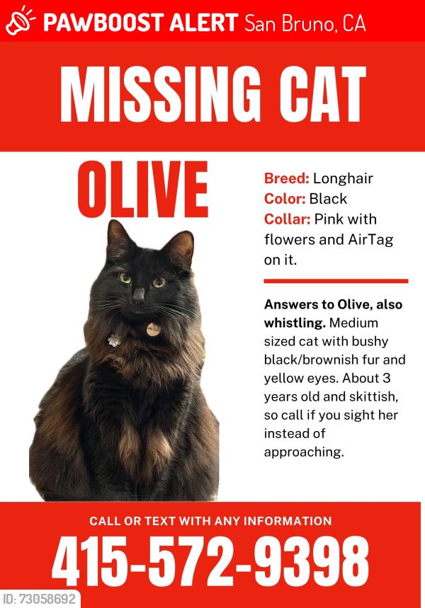 Lost Female Cat last seen Fleetwood Dr. San Bruno, San Bruno, CA 94066