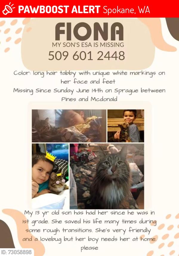 Lost Female Cat last seen McDonald and pines, Spokane, WA 99216