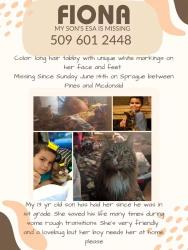 Lost Female Cat last seen McDonald and pines, Spokane, WA 99216