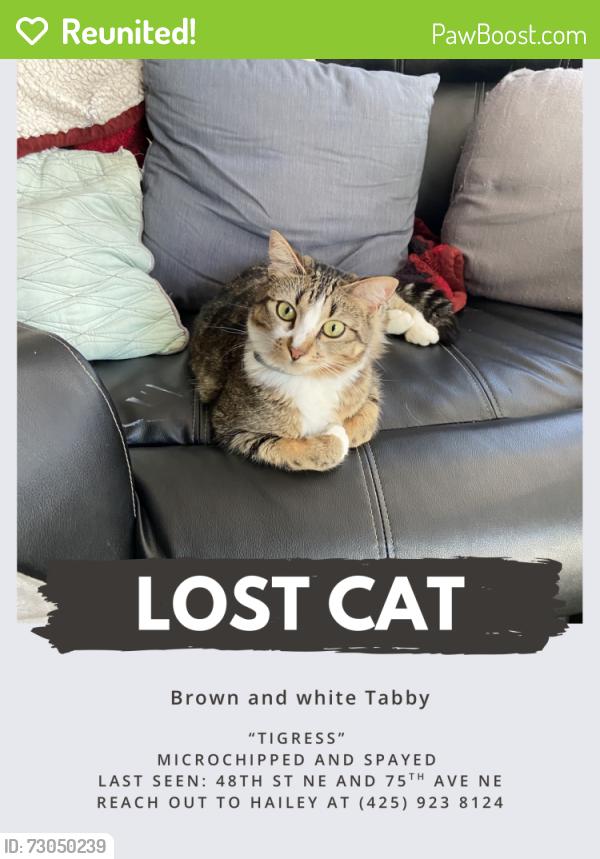 Reunited Female Cat last seen 75th AVE NE, Marysville, WA 98270