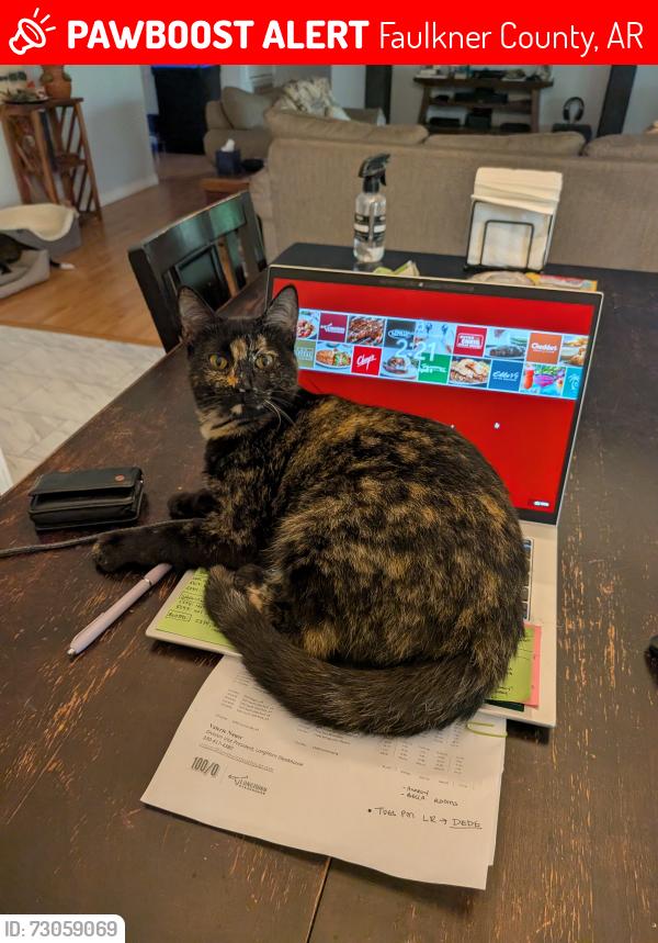 Lost Female Cat last seen S.Springhille Lane and W Springhill Drive, Faulkner County, AR 72058
