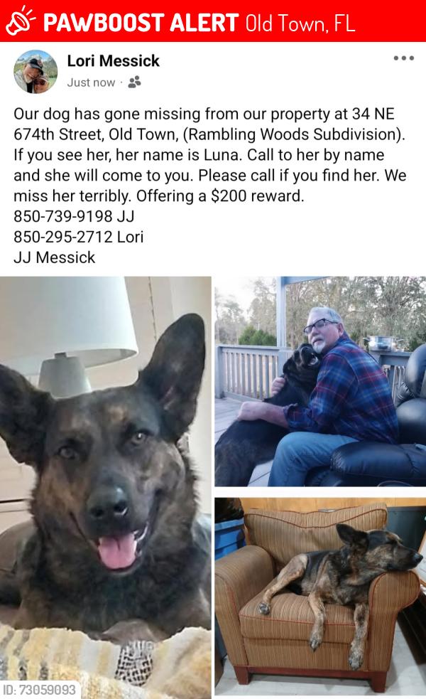 Lost Female Dog last seen Slemmers Ave (389th Ave), Old Town, FL 32680