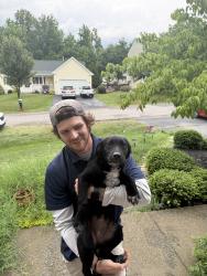 Found/Stray Female Dog last seen Near beechplum road fredericksburg va, Fredericksburg, VA 22407