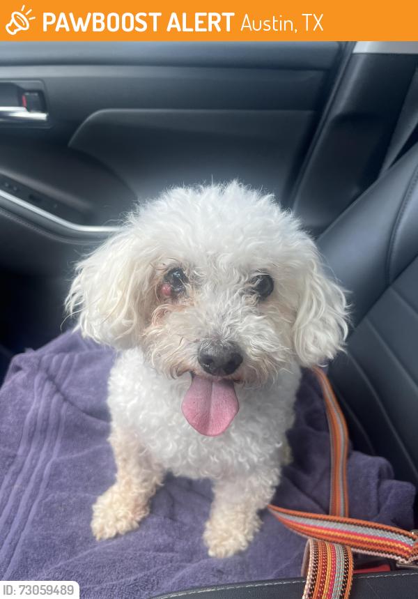 Found/Stray Male Dog last seen Wm cannon , Austin, TX 78745