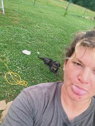 Lost Male Dog last seen Old mn rd , lentz rd, Stony Point, NC 28678