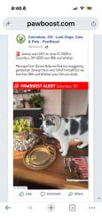 Reunited Male Cat last seen S. 18th St, Columbus, OH 43205