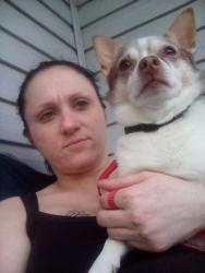 Lost Male Dog last seen Trumann area, Trumann, AR 72472