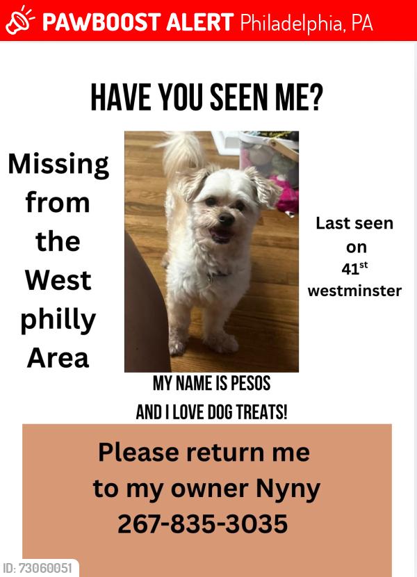Lost Male Dog last seen 41st Westminster, Philadelphia, PA 19139